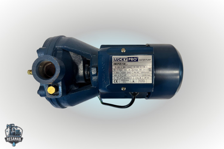 Luckypro-2MCP25-130-04